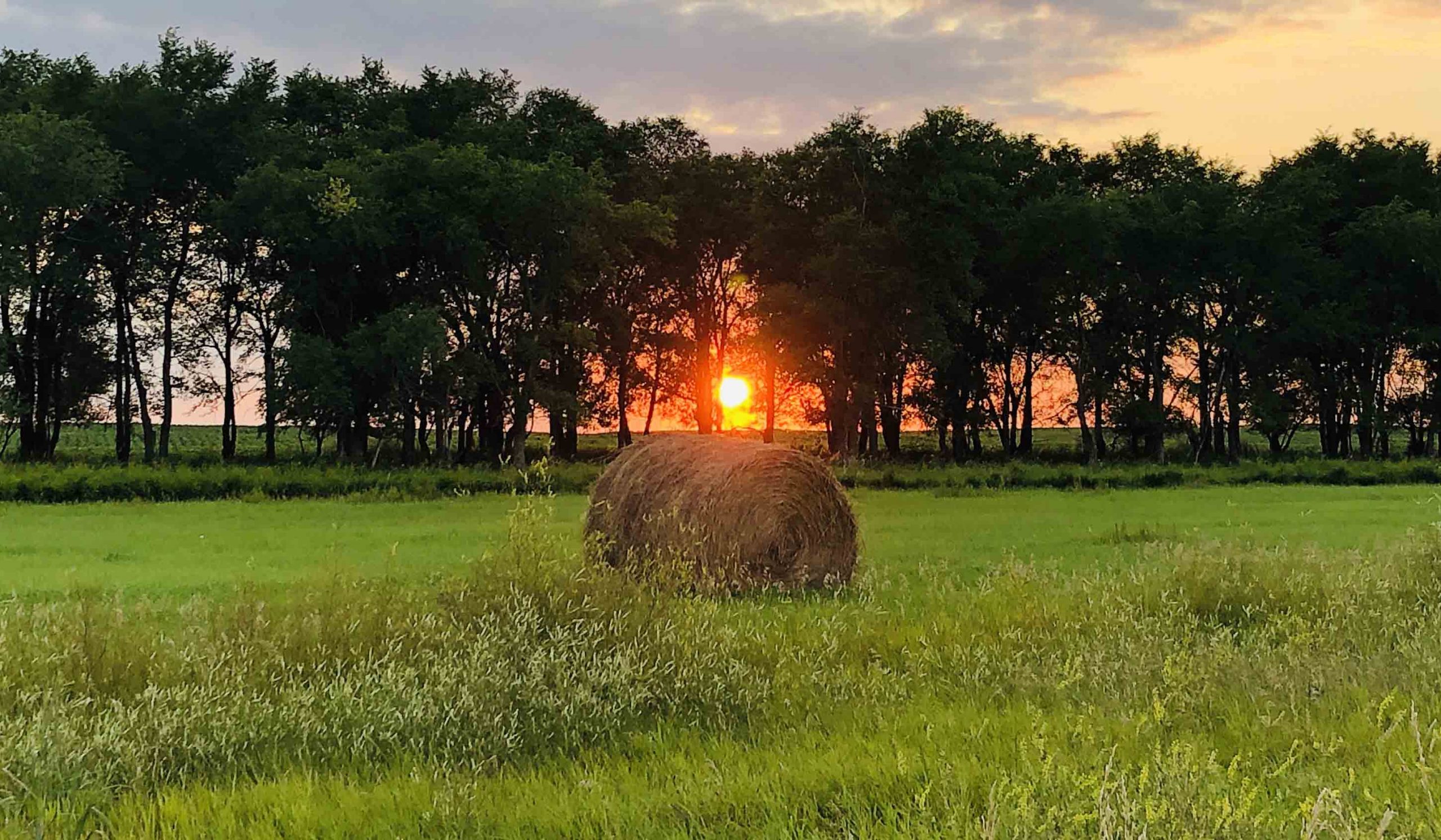 South Dakota website design